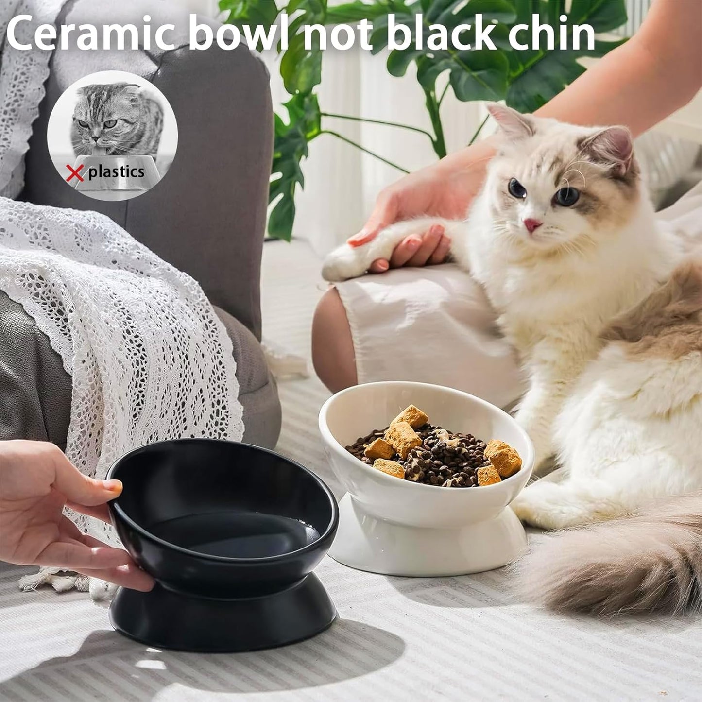 Elevated Cat Food Bowl, Ceramic Raised and Tilted Pet Water Bowl, anti Vomiting Cat Feeding Bowls - Stress Free Shallow Cat Bowl, Stress Free for Cats and Small Dogs,150Ml/5Oz (Black, 1 Pack)