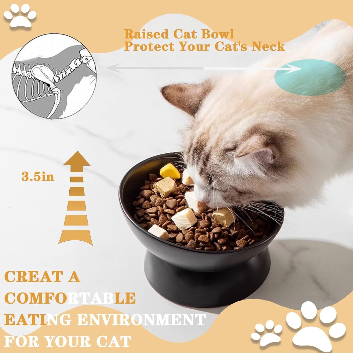 Elevated Cat Food Bowl, Ceramic Raised and Tilted Pet Water Bowl, anti Vomiting Cat Feeding Bowls - Stress Free Shallow Cat Bowl, Stress Free for Cats and Small Dogs,150Ml/5Oz (Black, 1 Pack)