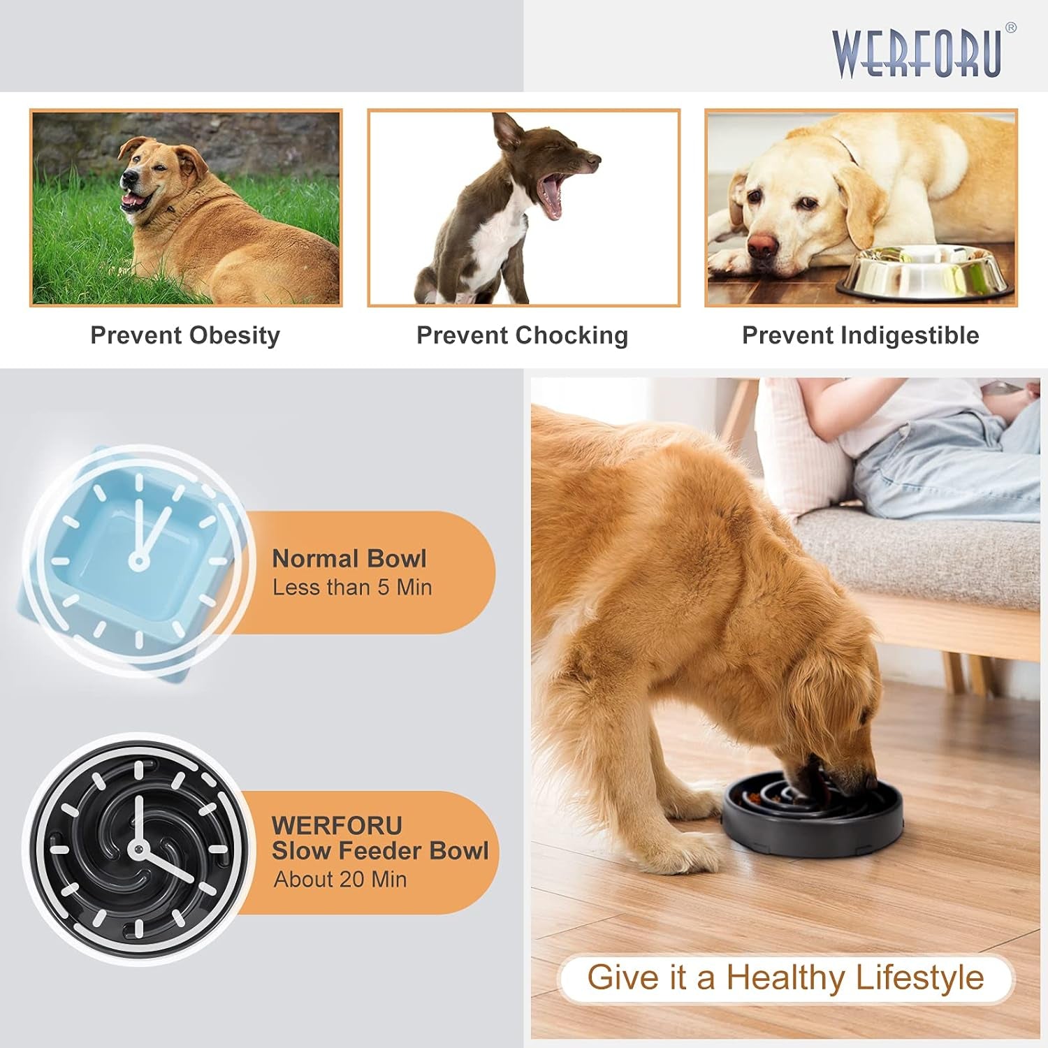 Large Pet Slow Feeder Dog Bowl, Slow Eating Dog Bowl Fun Puzzle Feeding Bowl Non Skid Bloat Stop Dog Food Bowl Interactive Maze Bowl Dark Gray
